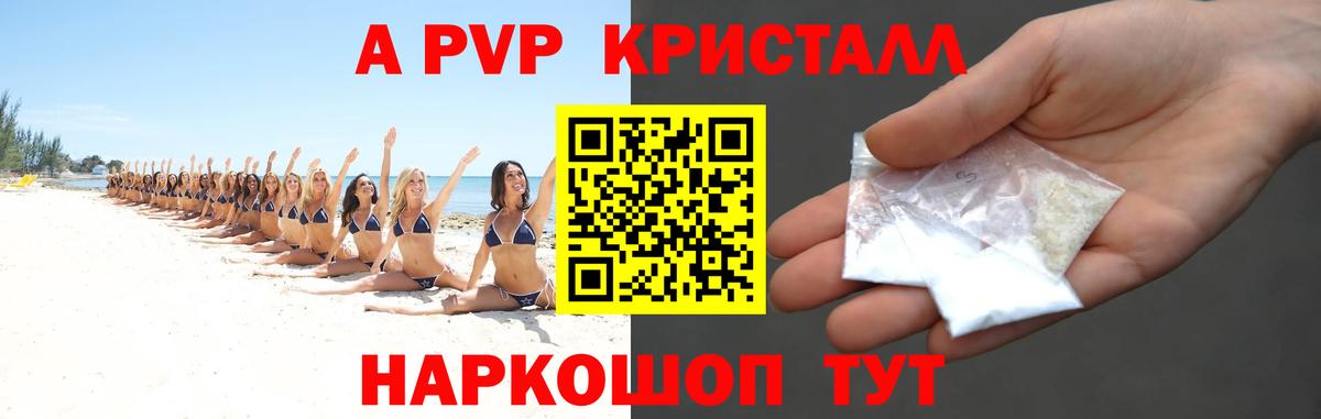 А ПВП СК КРИС Гай