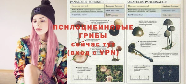 тгк Беломорск
