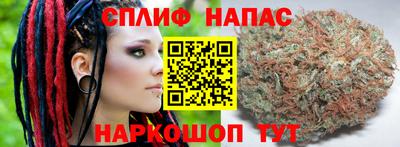 СК Будённовск