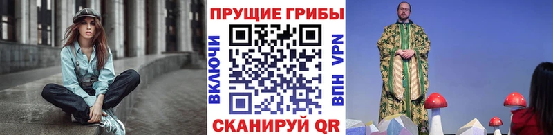 Галлюциногенные грибы Psilocybine cubensis где найти наркотики Гай