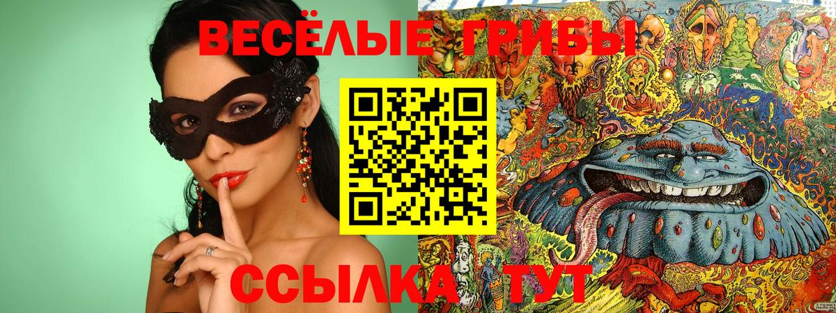 Гай  Галлюциногенные грибы GOLDEN TEACHER  Галлюциногенные грибы Magic Shrooms  Вход с VPN 