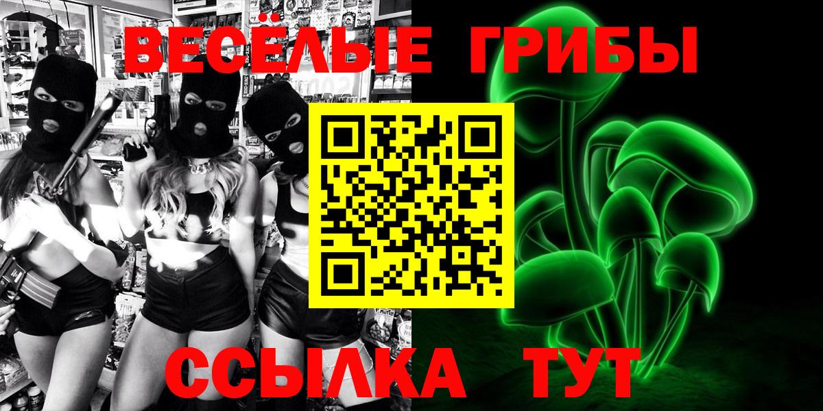 Псилоцибиновые грибы Psilocybine cubensis Гай